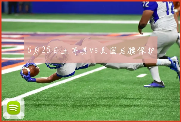 6月25日土耳其vs美国后腰保护