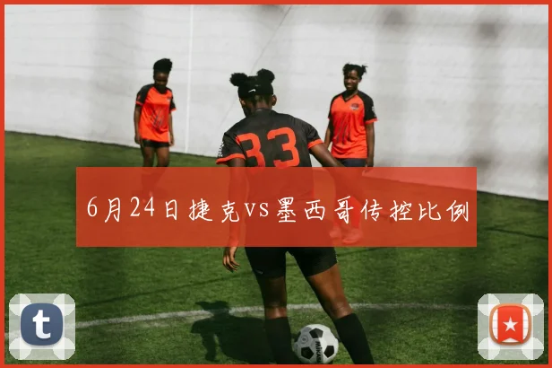 6月24日捷克vs墨西哥传控比例