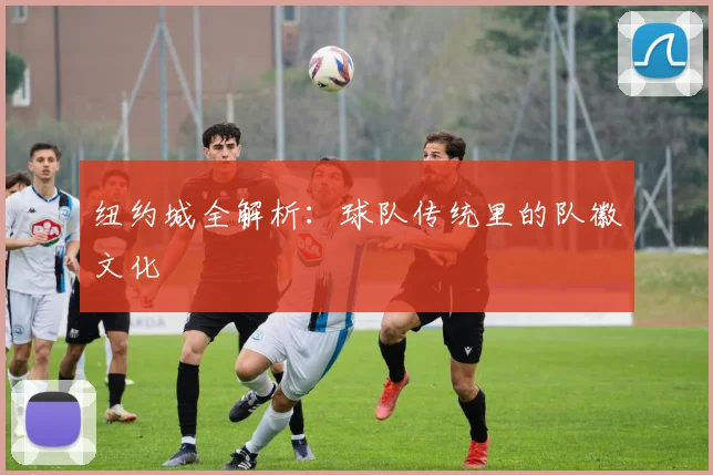 纽约城全解析:球队传统里的队徽文化