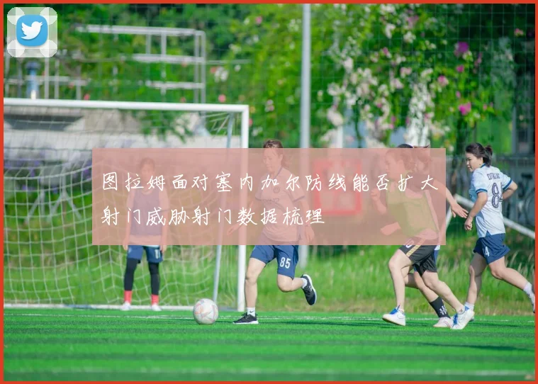 图拉姆面对塞内加尔防线能否扩大射门威胁射门数据梳理